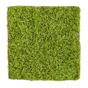 20” X 20” Duckweed Artificial Wall Mat