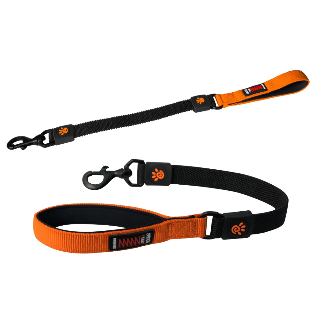 22" Shock Absorbing Bungee Leash