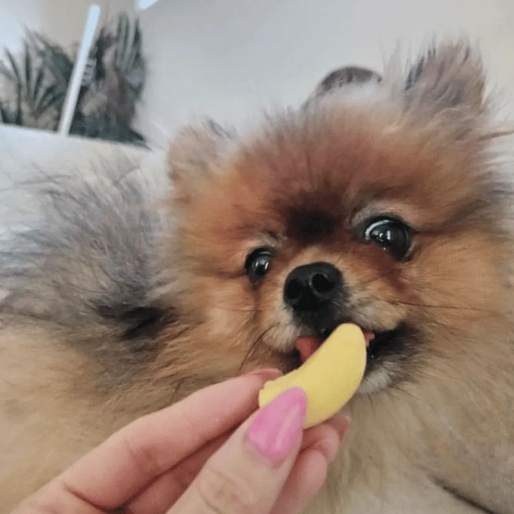 Banana Dog Lollies