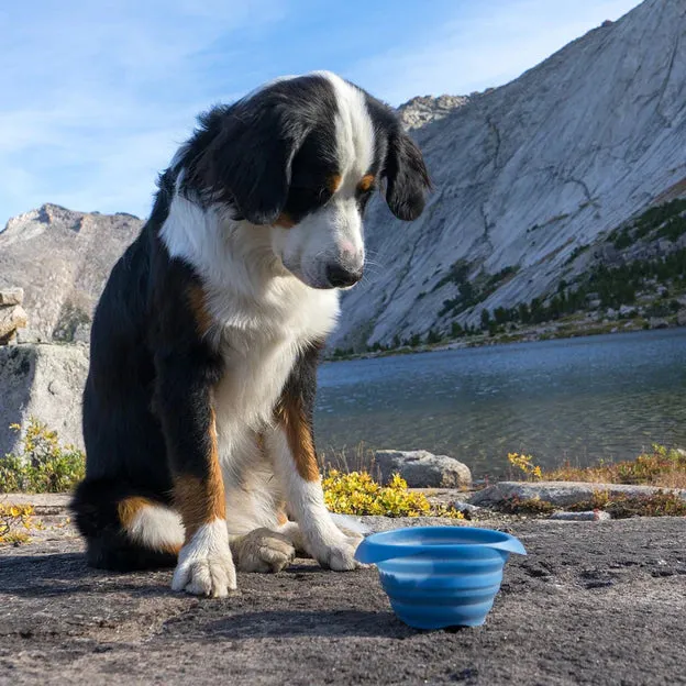 Beco Collapsible Travel Dog Bowl