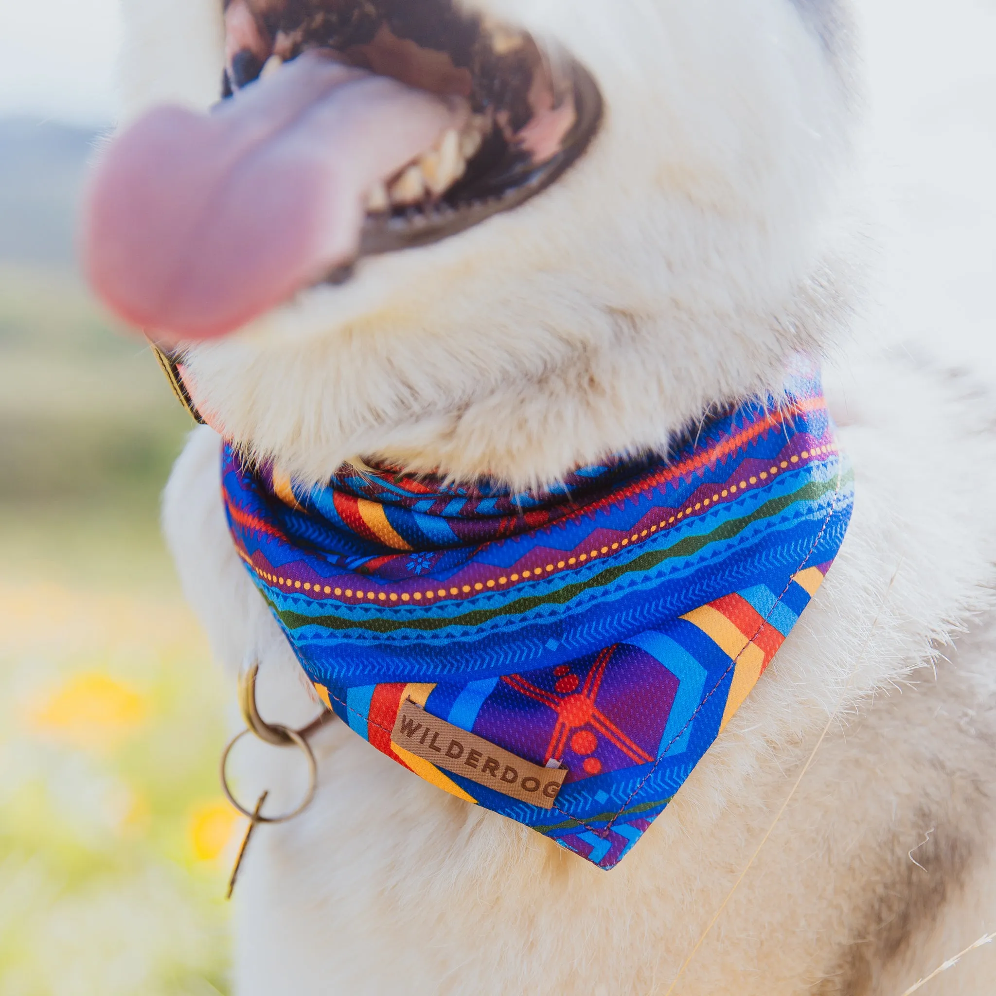 Big Sky Bandana