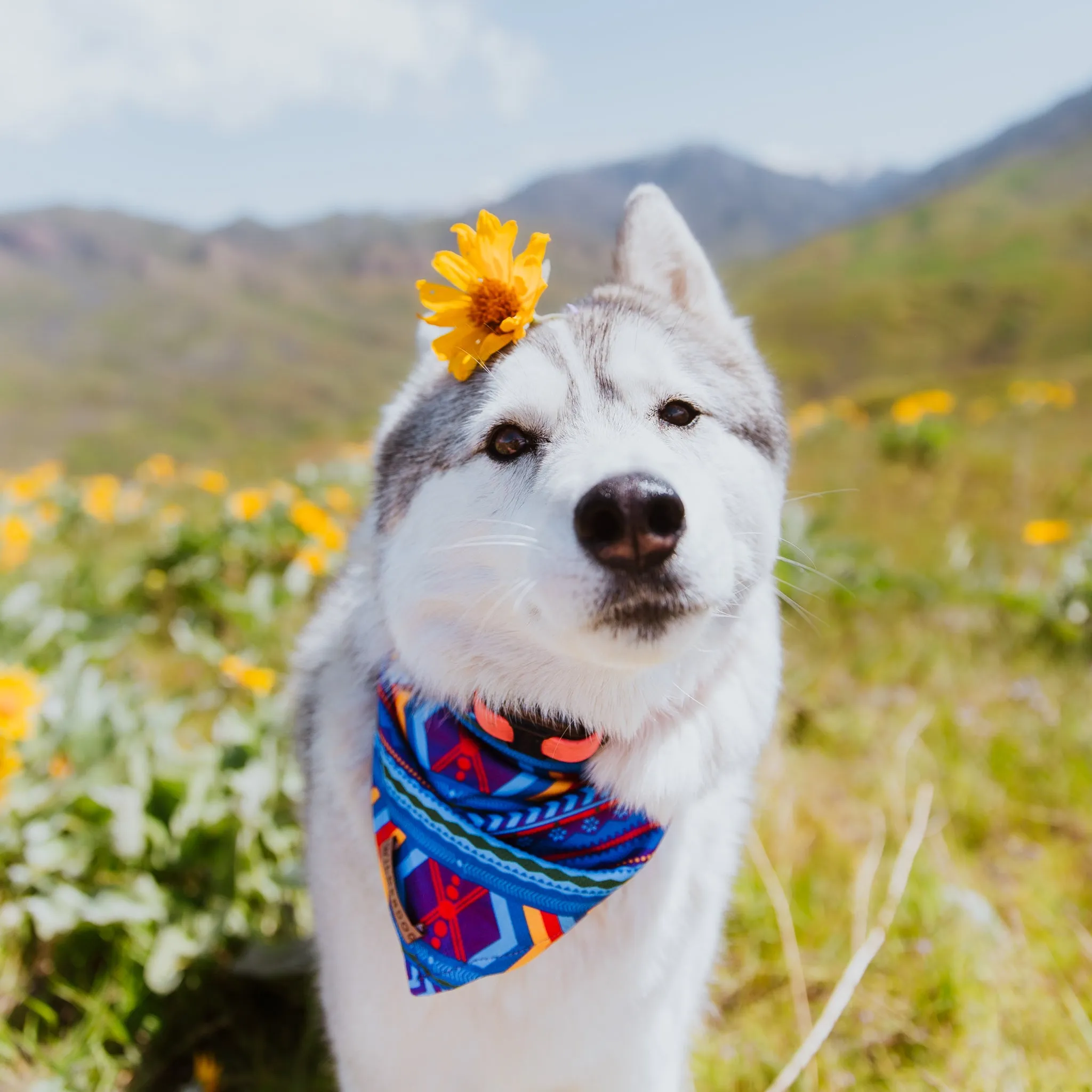 Big Sky Bandana