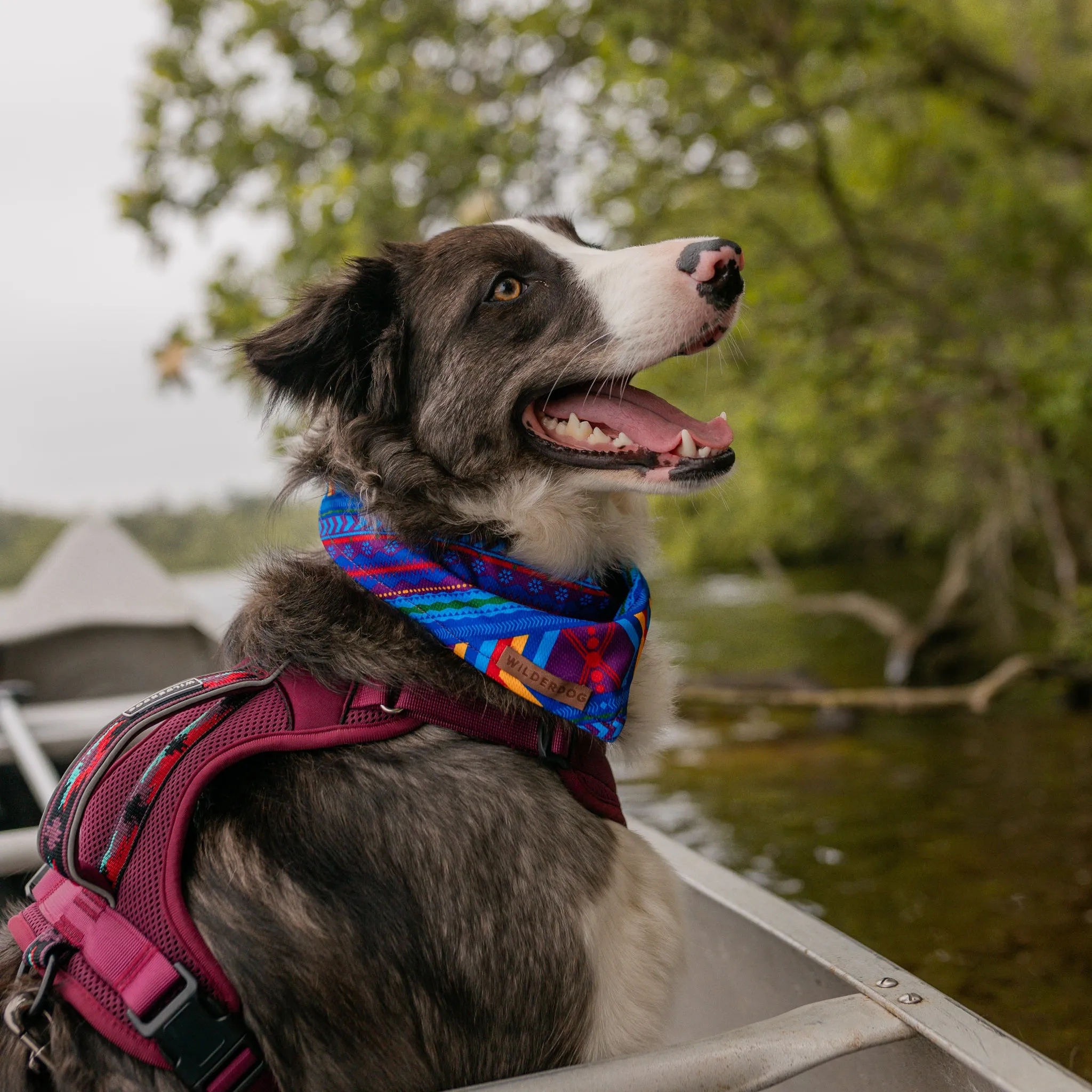 Big Sky Bandana