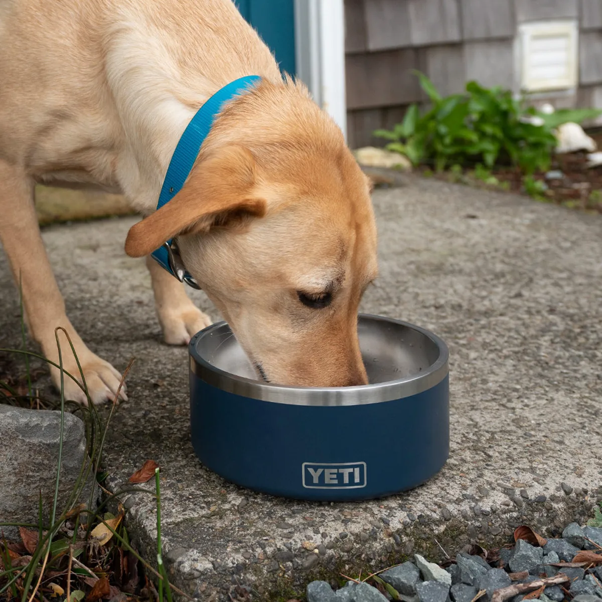 Boomer 4 Dog Bowl