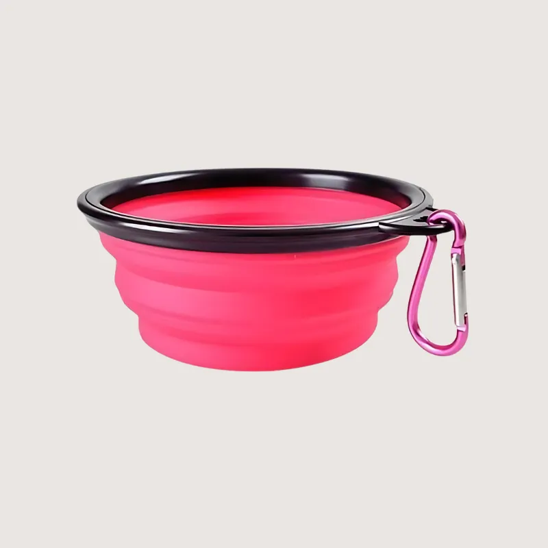 Collapsible Pet Bowl: Travel Ready