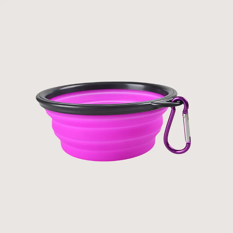 Collapsible Pet Bowl: Travel Ready