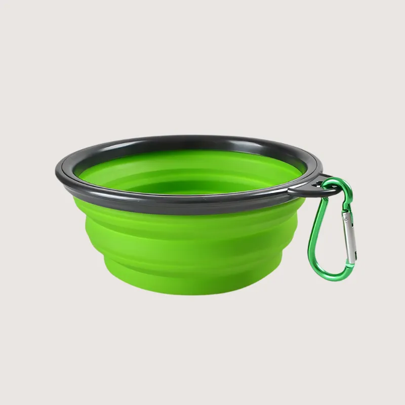 Collapsible Pet Bowl: Travel Ready