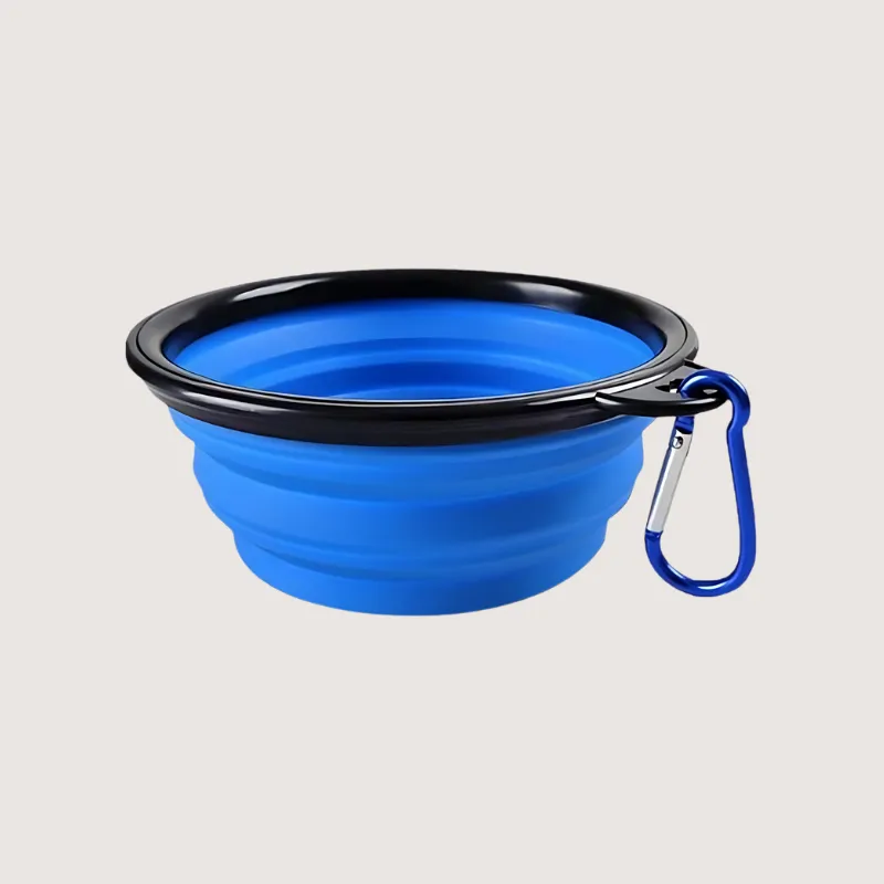 Collapsible Pet Bowl: Travel Ready