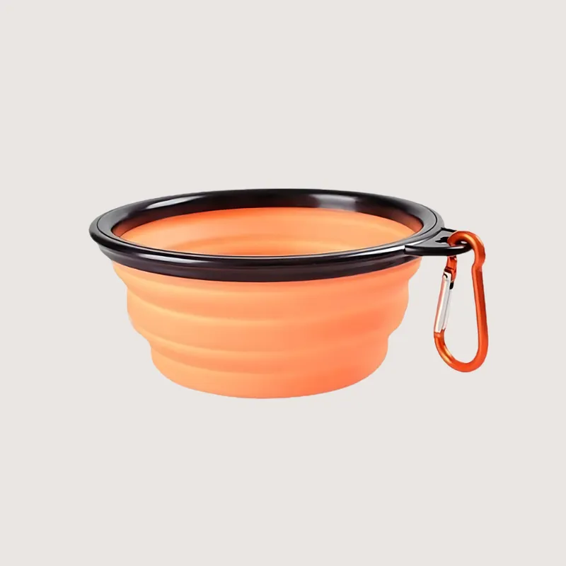 Collapsible Pet Bowl: Travel Ready