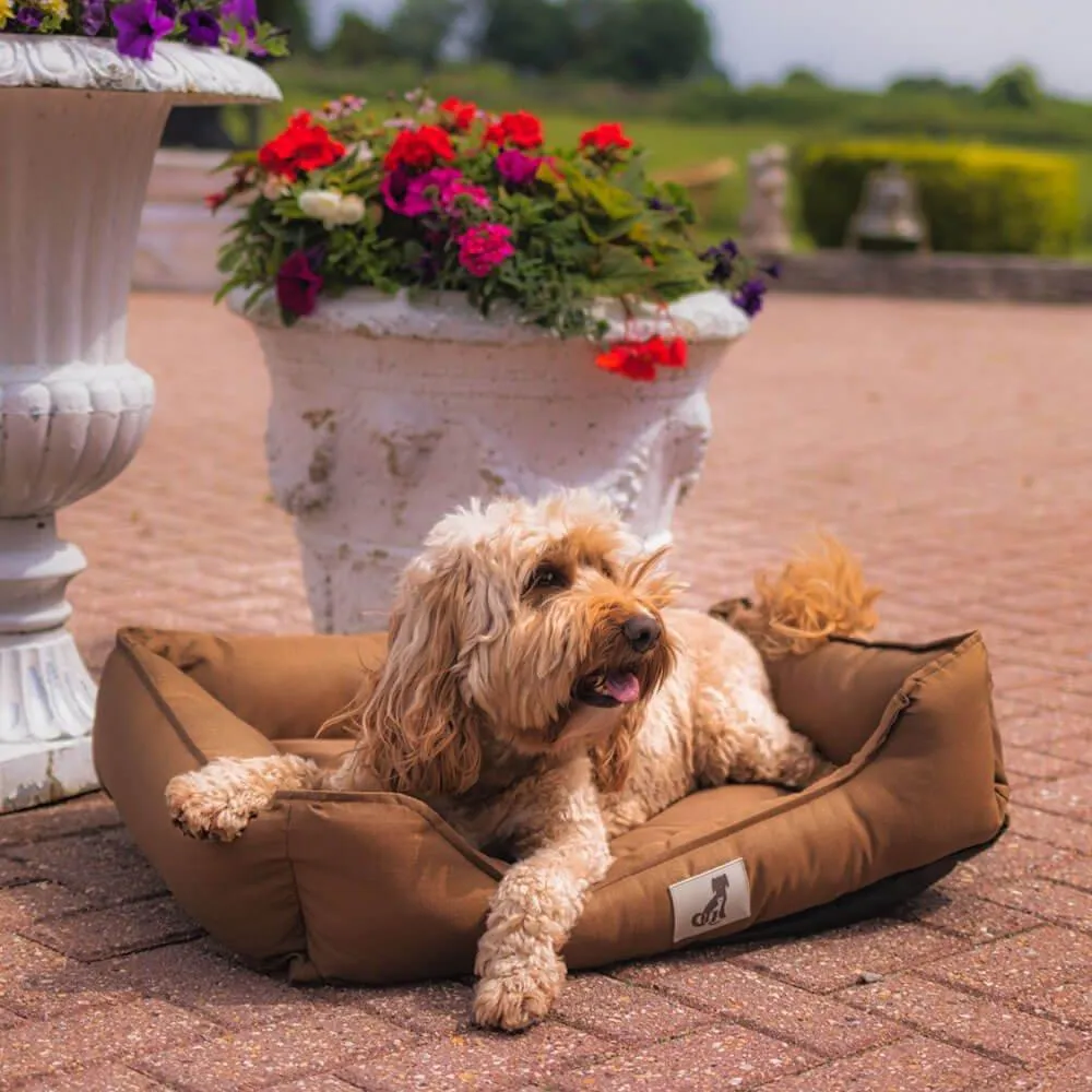 Dexter Waterproof Dog Bed Brown - Size S/M/L