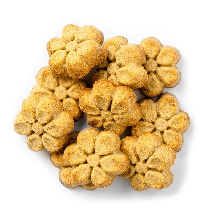 Fruitables - Baked Dog Treats - Pumpkin & Apple