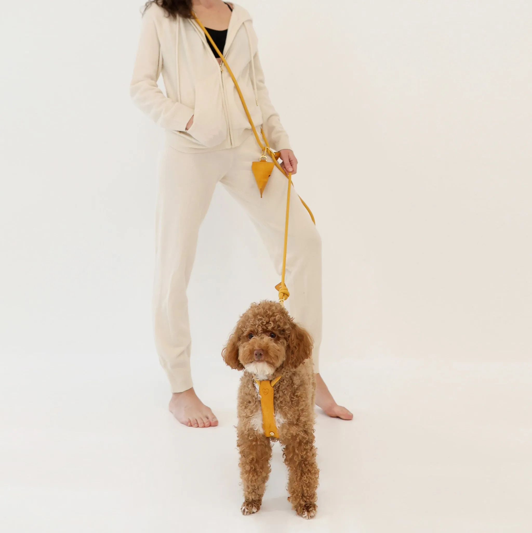 HOZI X LCB Handsfree Leash - Mustard