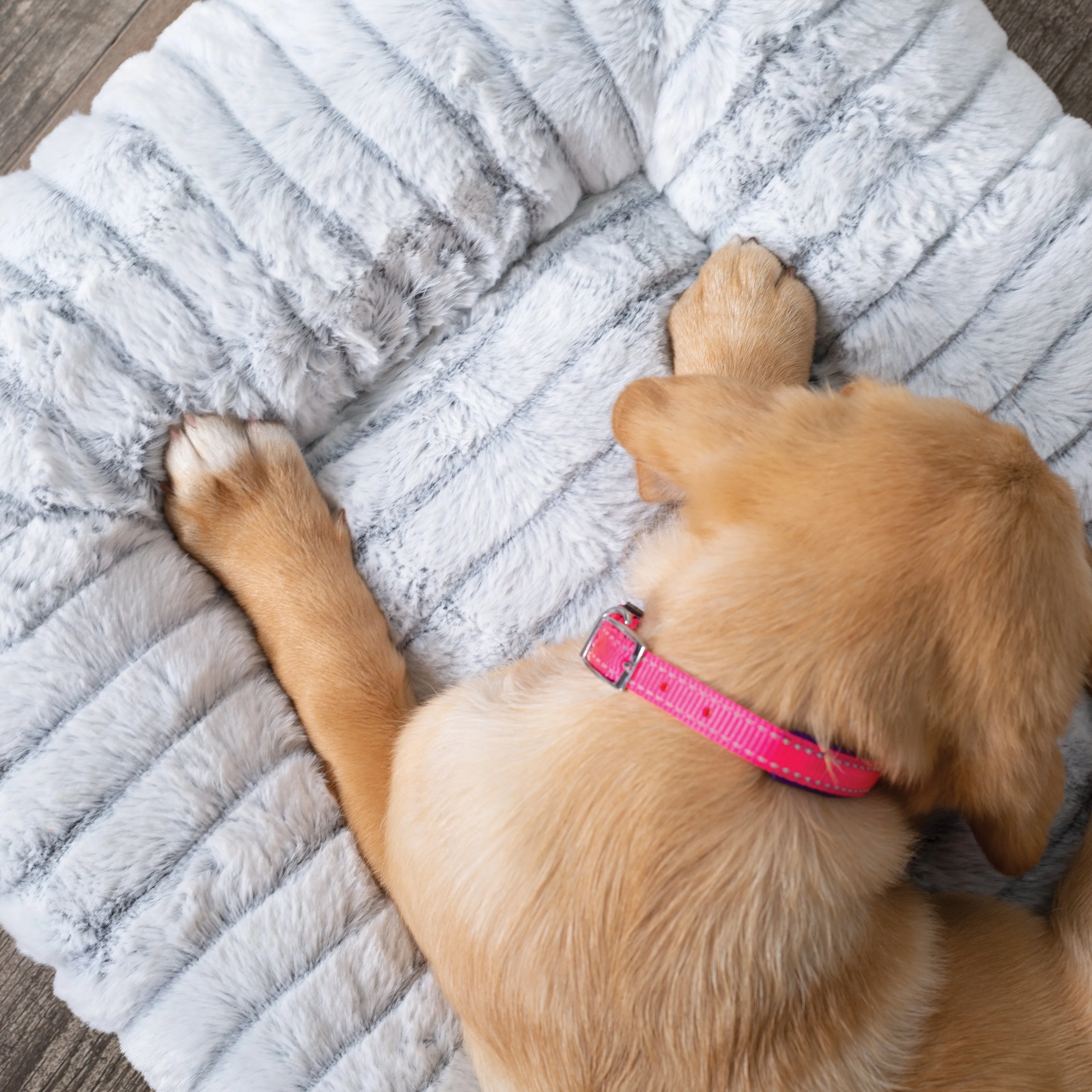 Kazoo Cloud Comfort Large Grey Dog Bed^^^