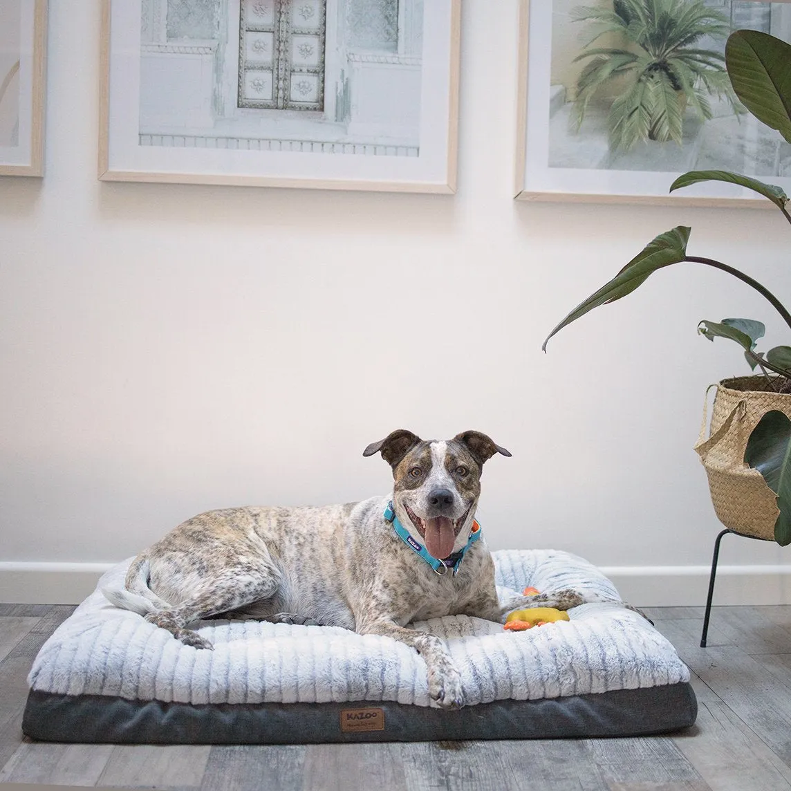 Kazoo Cloud Comfort Large Grey Dog Bed^^^