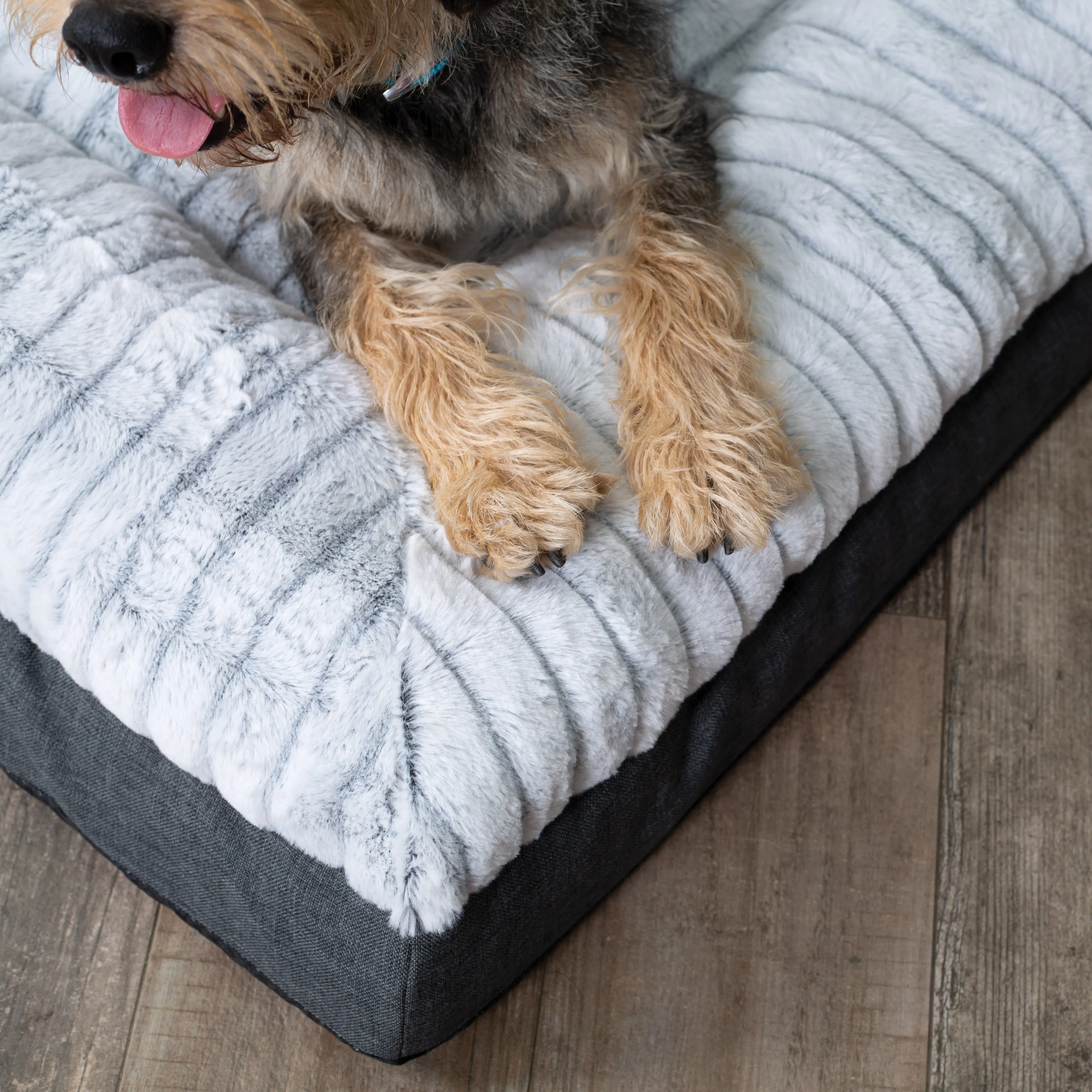 Kazoo Cloud Comfort Small Grey Dog Bed^^^