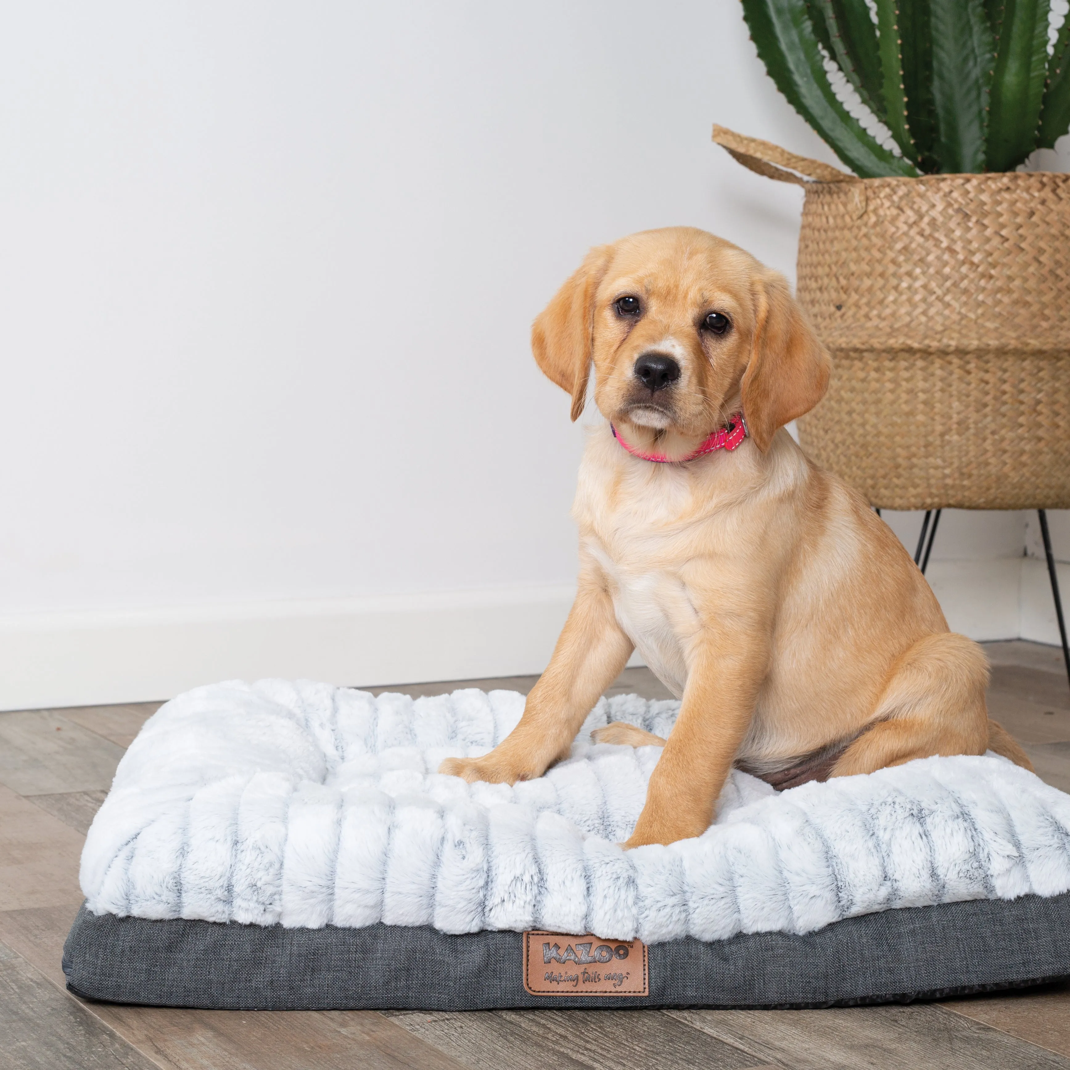 Kazoo Cloud Comfort Small Grey Dog Bed^^^