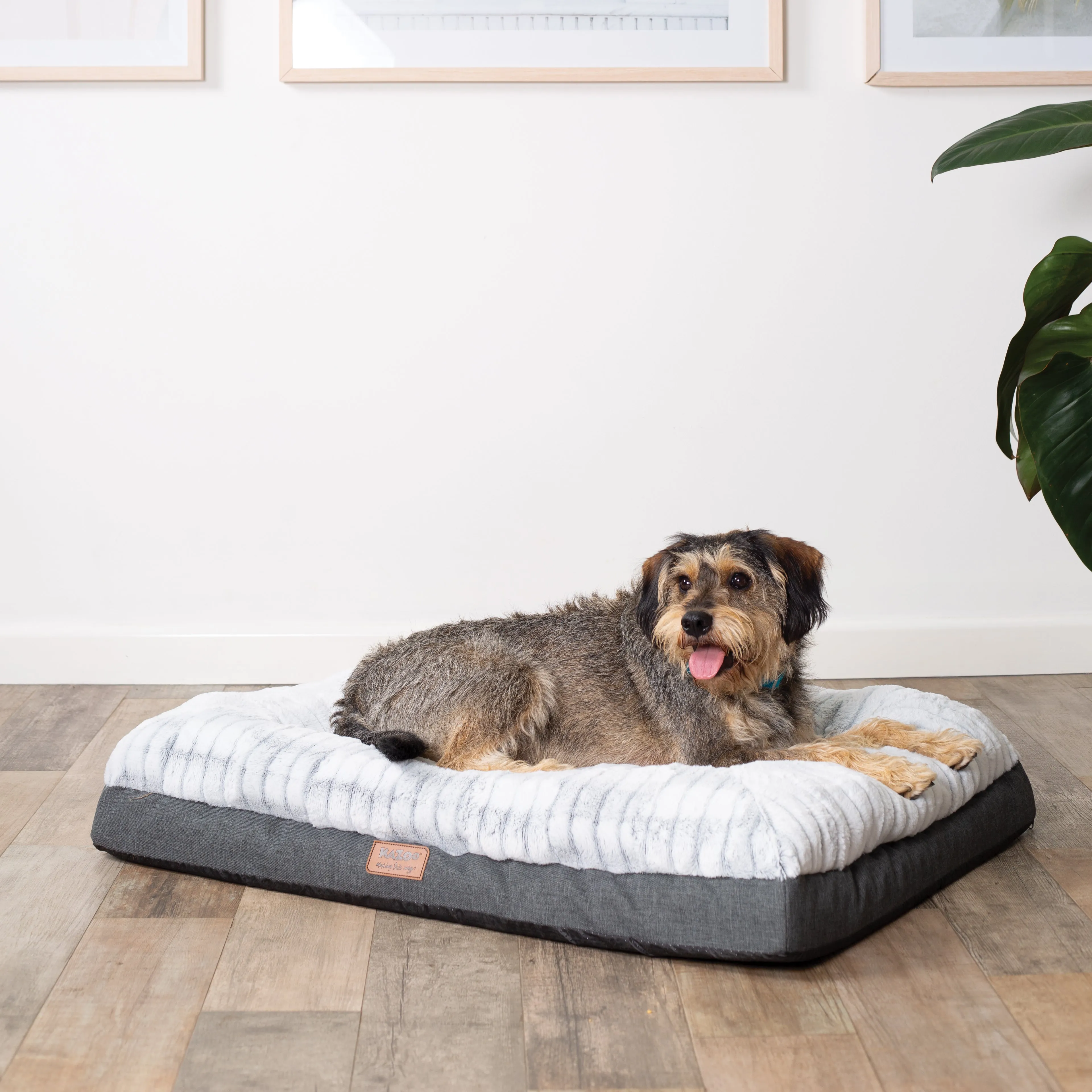 Kazoo Cloud Comfort Small Grey Dog Bed^^^