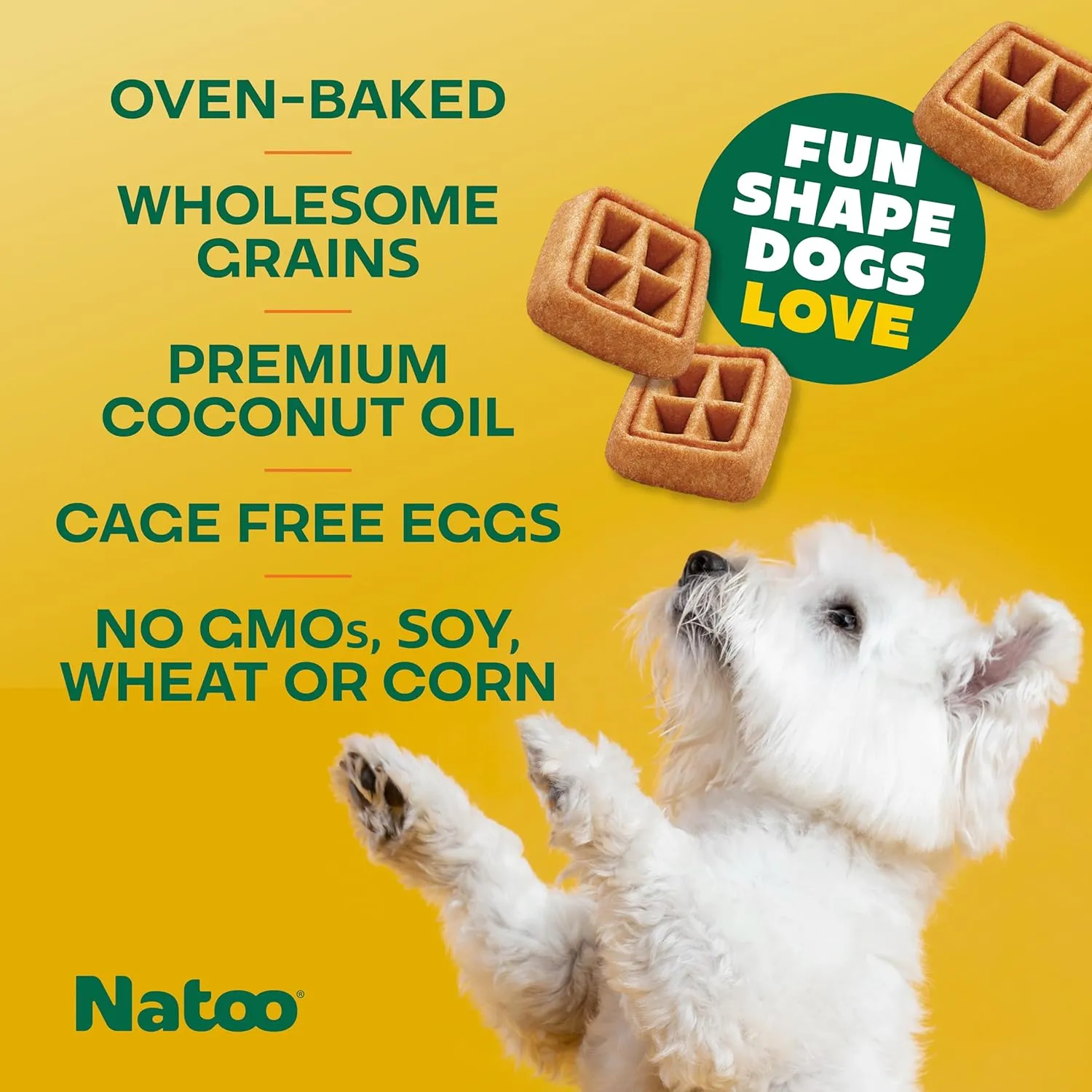 Natoo Crunchy Biscuits Oats, Banana, & Honey Flavor for All Size Dogs, 8-oz