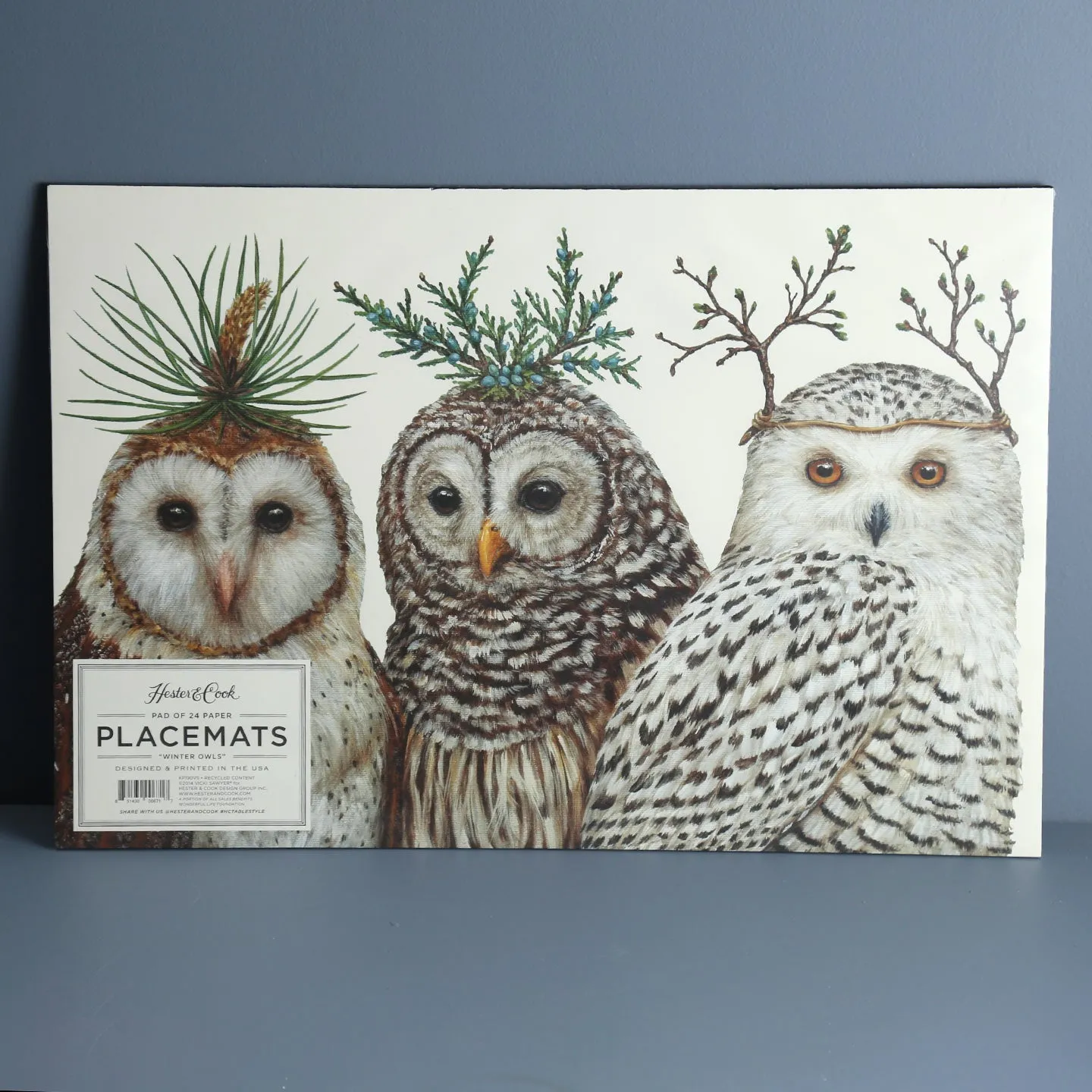 Paper Placemat Pack / Winter Owls