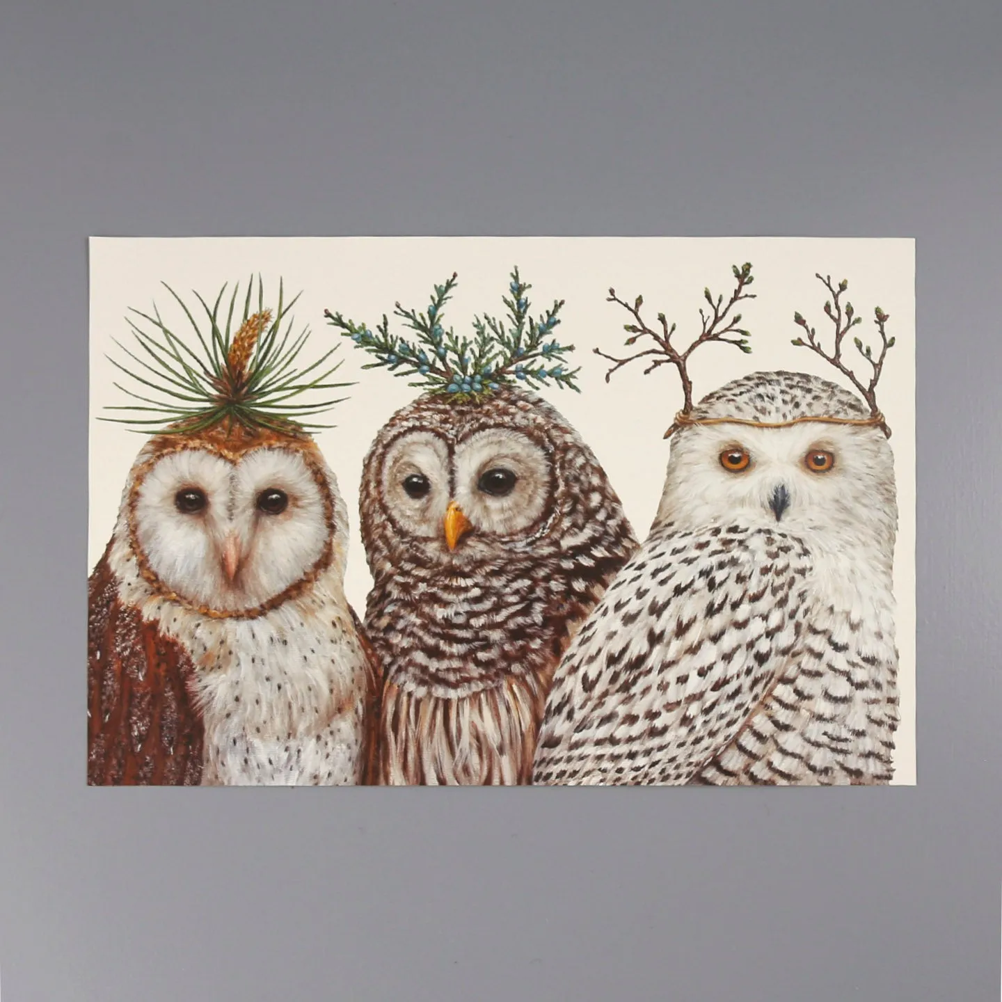 Paper Placemat Pack / Winter Owls