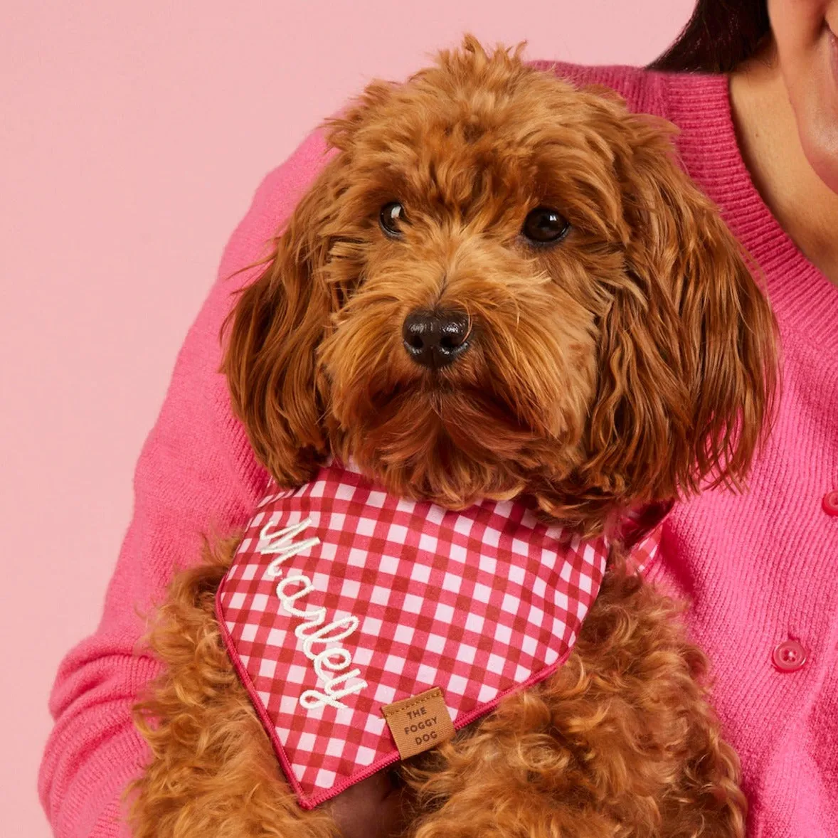 Raspberry Gingham Dog Bandana