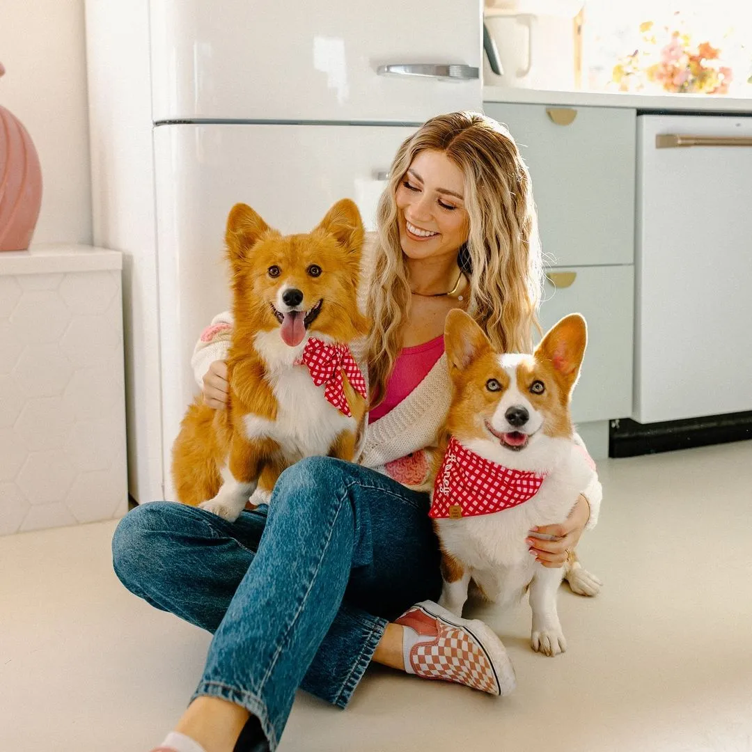 Raspberry Gingham Dog Bandana