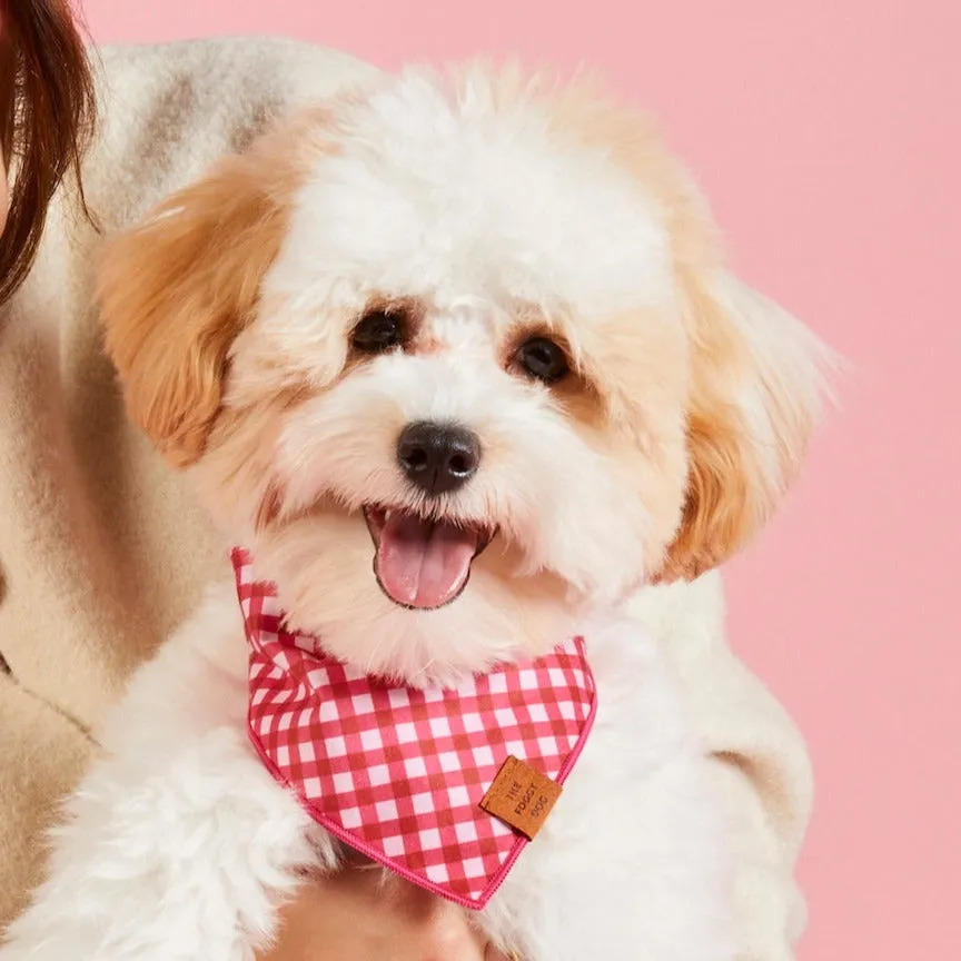 Raspberry Gingham Dog Bandana