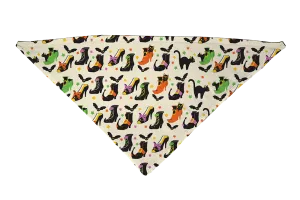 Witch's Shoes Color Dog Bandana