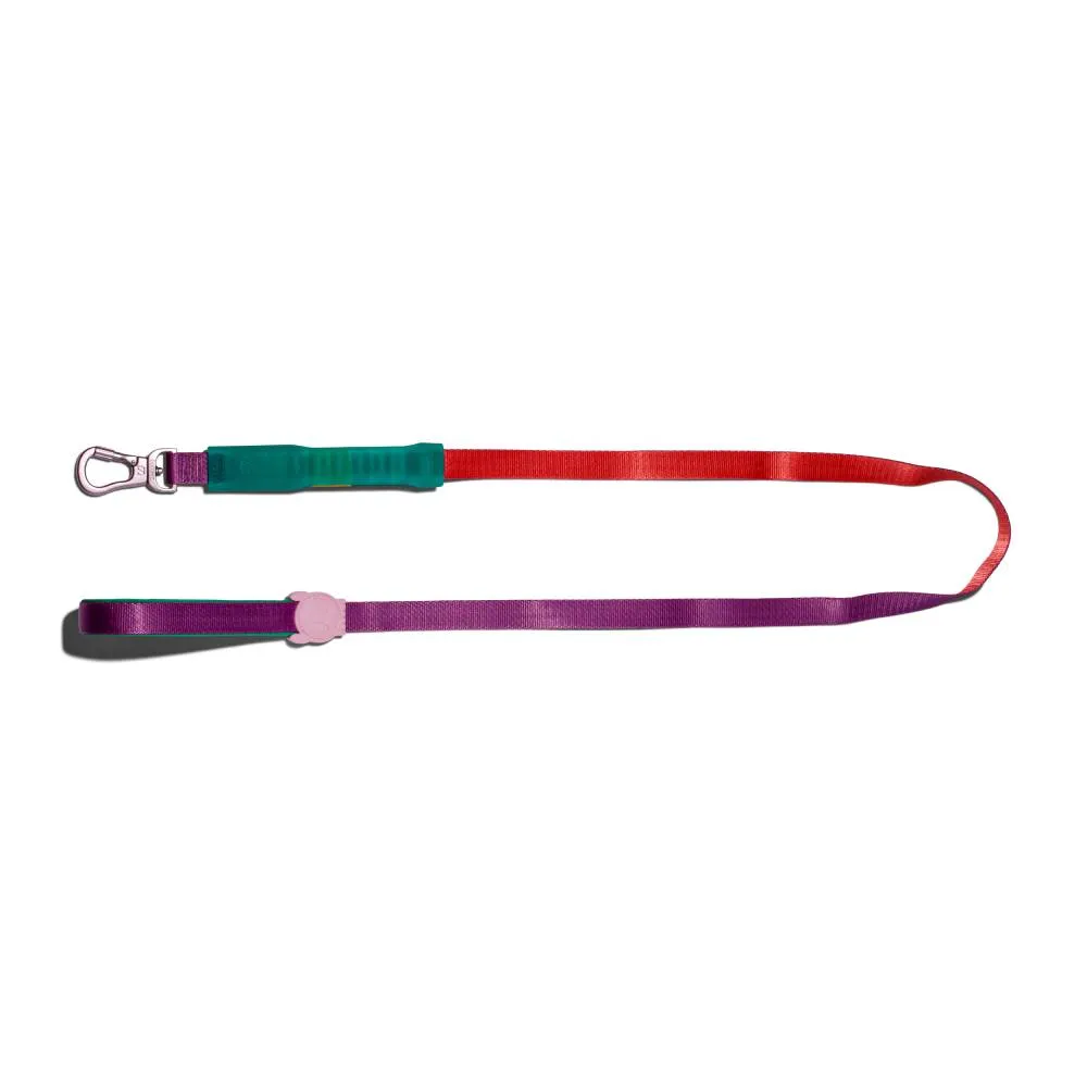 Zee.Dog Cali Dos Airleash